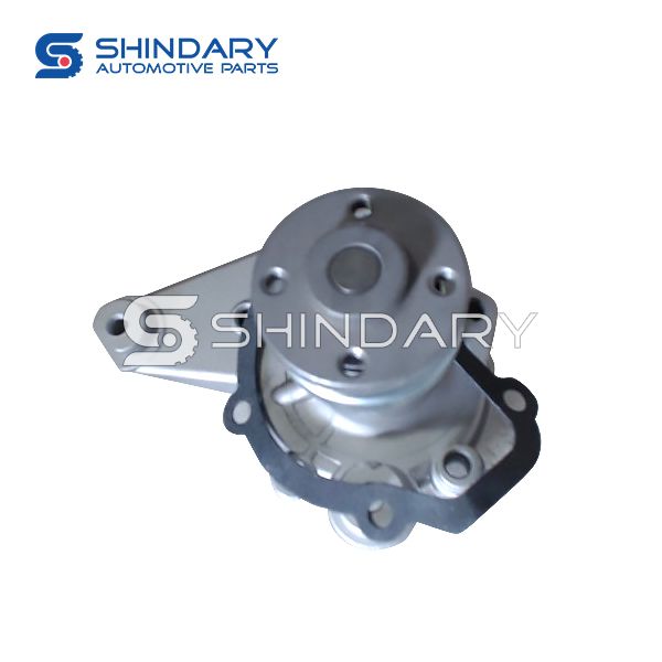 Water pump 462-1307950-02 for HAFEI 