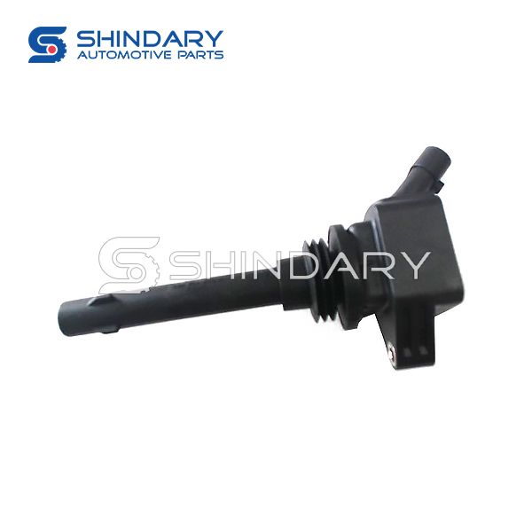 IGNITION COIL 10404880-00 for BYD 