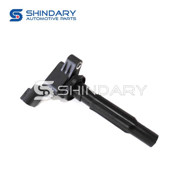 IGNITION COIL 24105479 for CHEVROLET