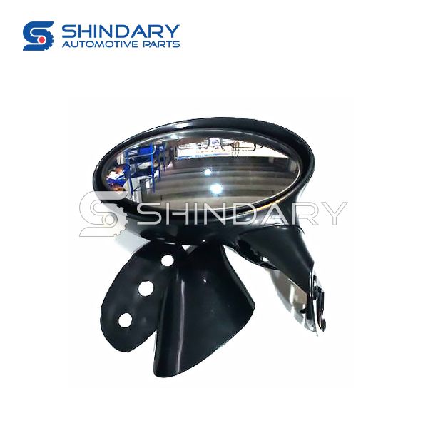 Outer mirror-L S11-8202010BL-DQ for CHERY 