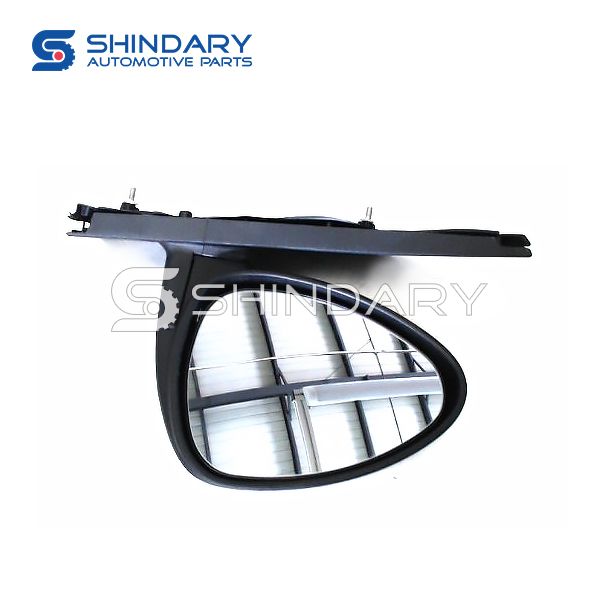 Outer mirror-R S22-8202020-DQ for CHERY 