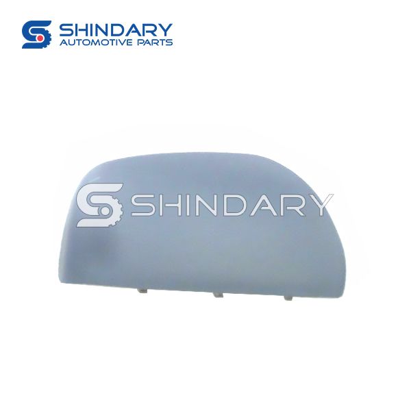 Outer mirror-R T11-8202021-DQ for CHERY X33