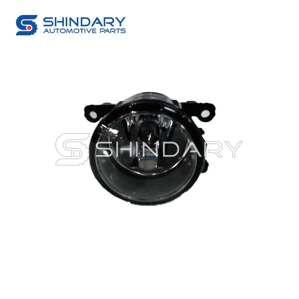 Front fog lamp 261508993C+E317 for ZNA RICH6