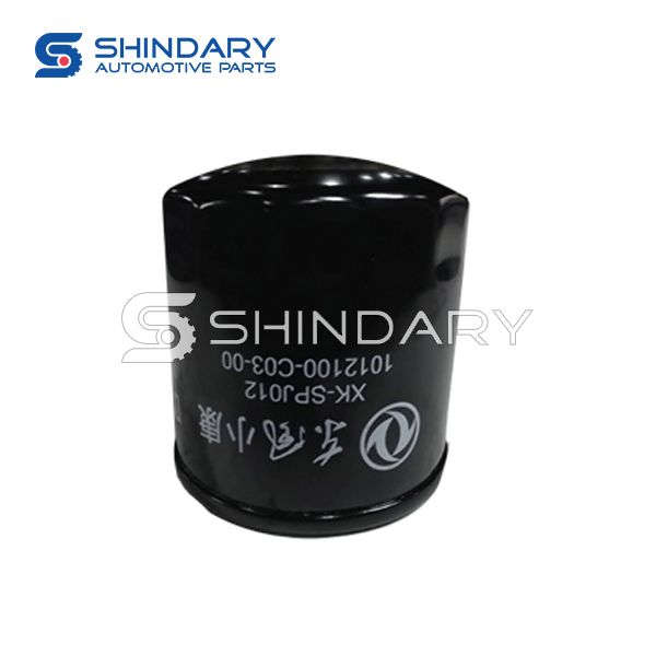 Oil Filter Assy 1012100C0300 for DFSK 