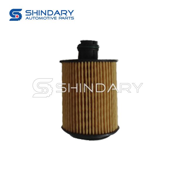 Oil Filter Assy 1013110DA0300 for DFSK GLORY 330 Diesel