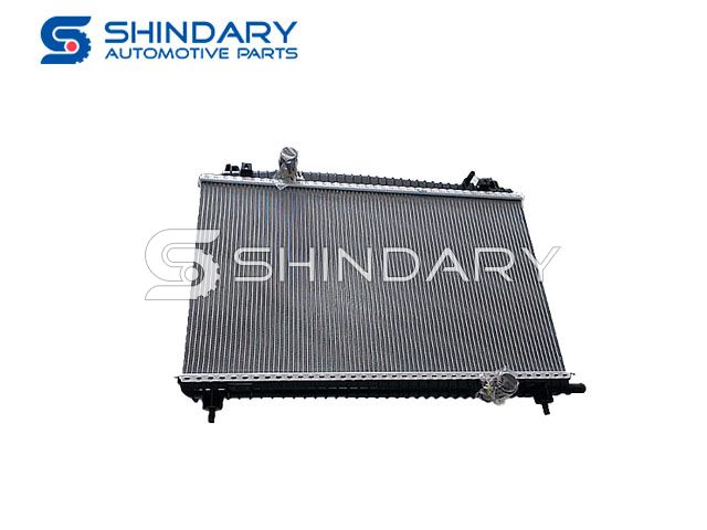 Radiator 2801012 for DFM 