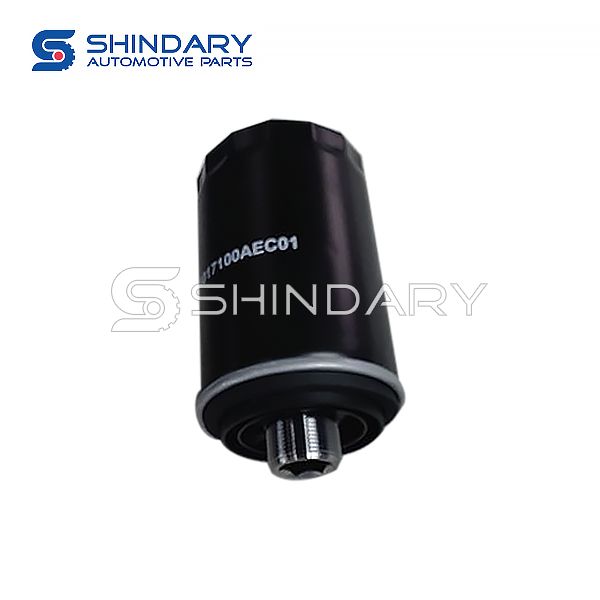 Oil Filter Assy 1017100AEC01 for GREAT WALL 