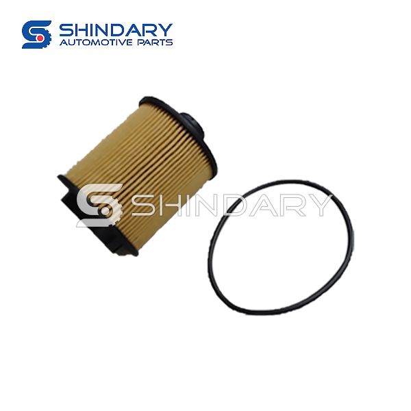 Oil Filter Assy 1612565980 for DFM 