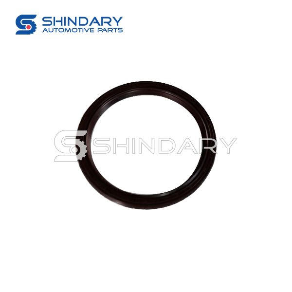 Crankshaft rear oil seal 24102276 for CHEVROLET SAIL