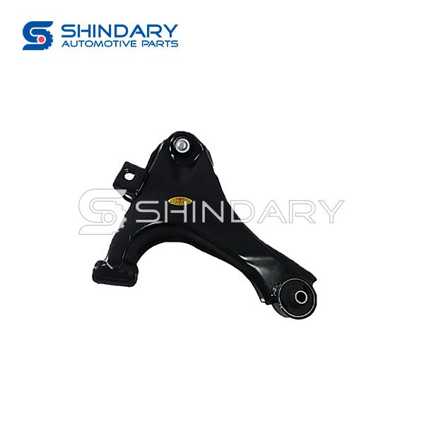 Control arm suspension, R 290412002 for ZOTYE MT