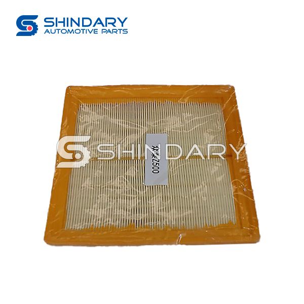 Air filter element 1109103001-A02 for ZOTYE Z500