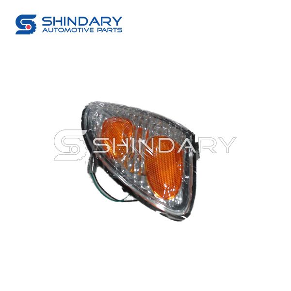 Lamp 41110302000 for ZX AUTO