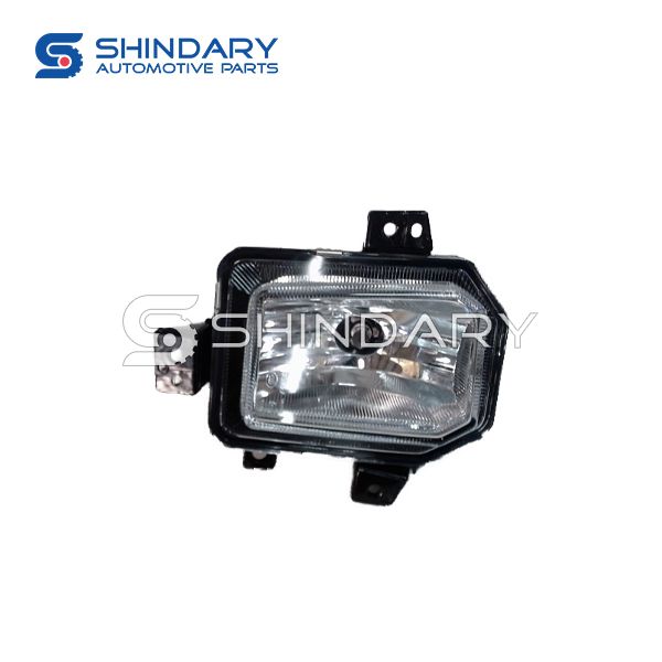 Rront fog lamp，R C00047559 for MAXUS