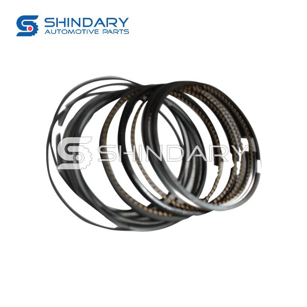 Piston ring kit 1004021-H01 for CHANGAN