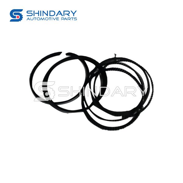 Piston ring kit 471Q-1004003 for ZOTYE