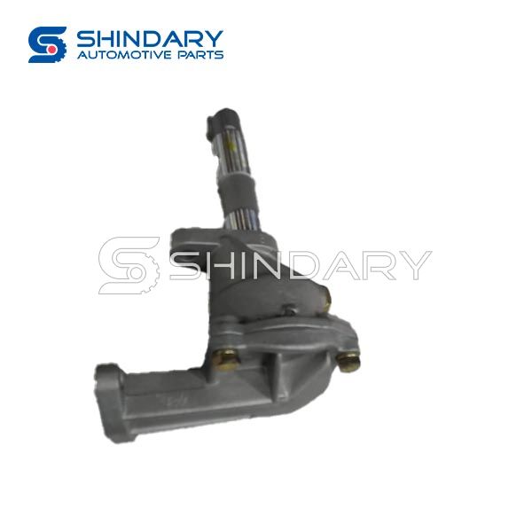 Oil pump 491Q1011020 for HUANGHAI