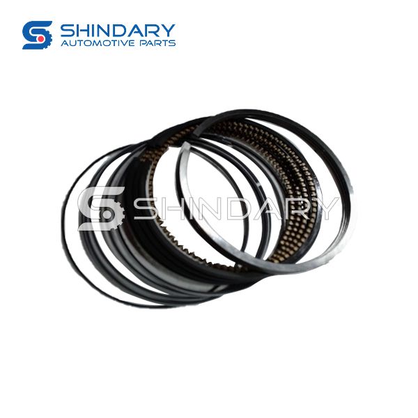 Piston ring kit DAGC994282 for CHANGAN