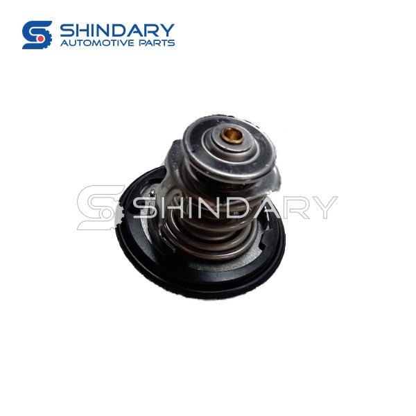 THERMOSTAT 1306005002-B01 for ZOTYE DOMY X7