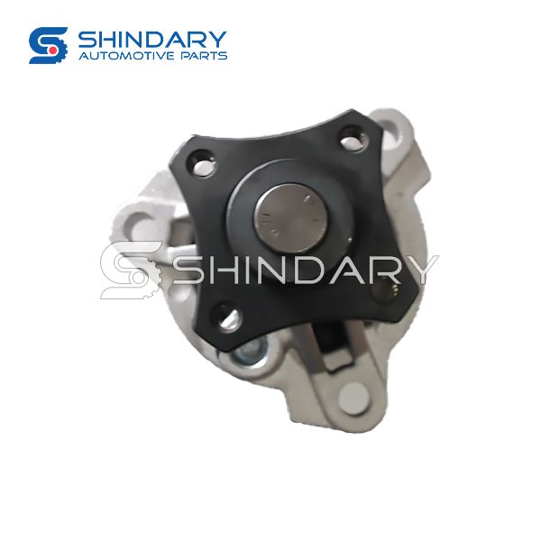 WATER PUMP 4G20T-1307100 for ZOTYE DOMY X7