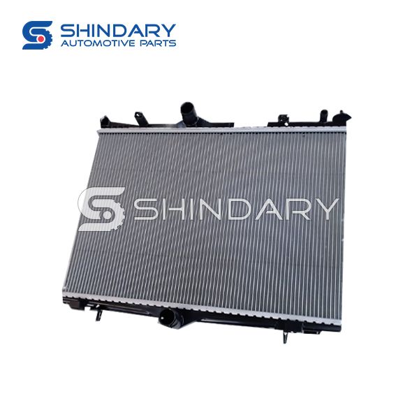 RADIATOR B012494 for DFM