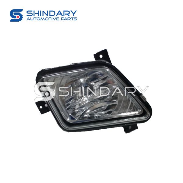 LAMP D4116100 for LIFAN 6420