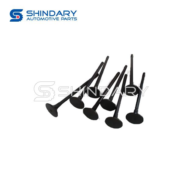 Exhaust valve 1007012-B02 for CHANGAN CS55