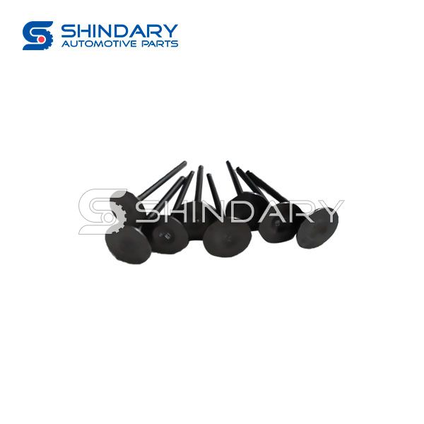 Intake valve XY10070330-CG1000 for SHINERAY X30L