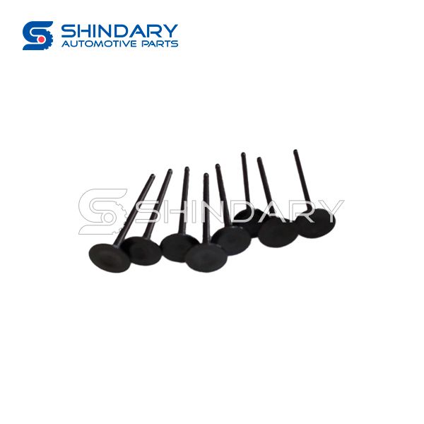 Exhaust Valve XY10070110-CG1400 for SHINERAY X30