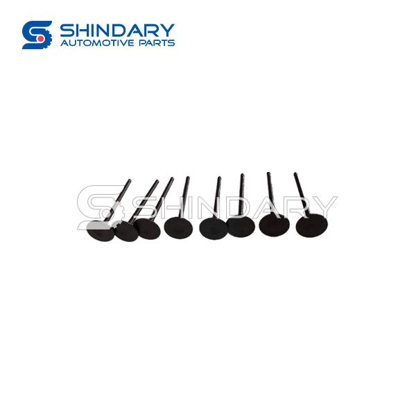 Intake Valve XY10070120-CG1400 for SHINERAY X30