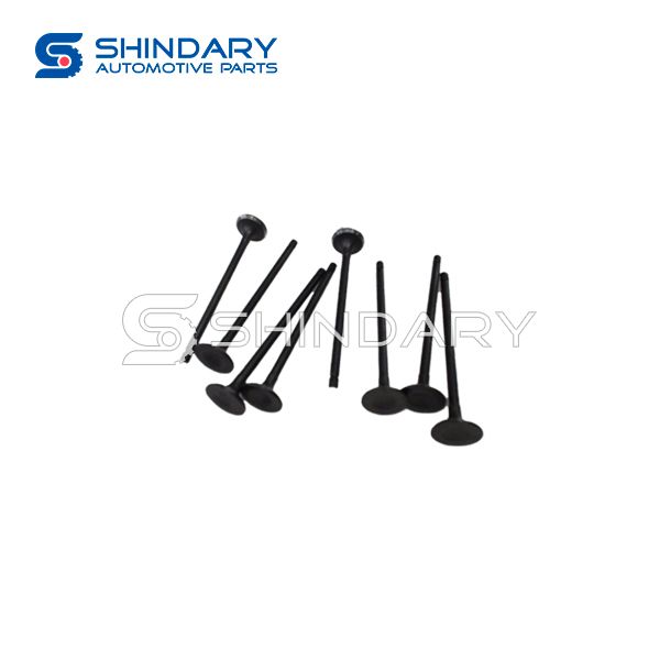 Exhaust valve 471Q-1007002 for ZOTYE NOMAD