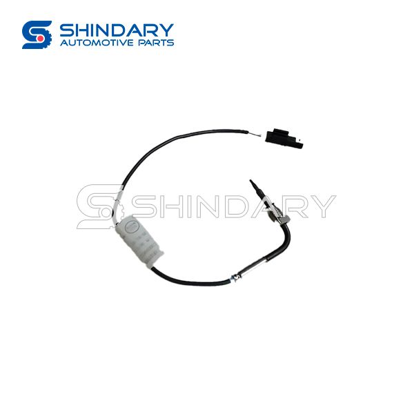 Sensors C00099612 for MAXUS t60