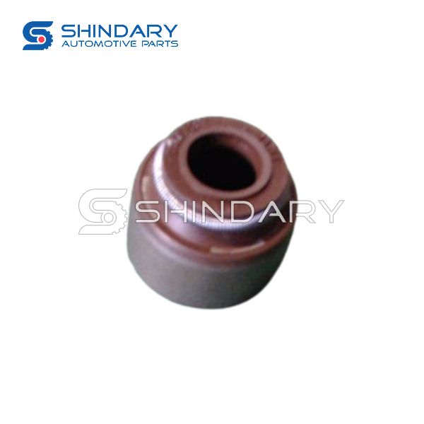 Oil seal 1007020A2600 for DFSK