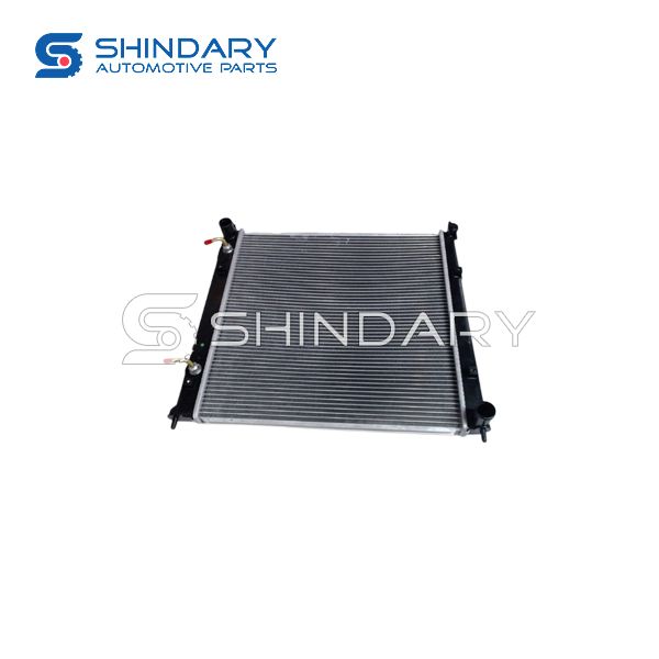 Radiator assy 25C01A013A for S.E.M DX7