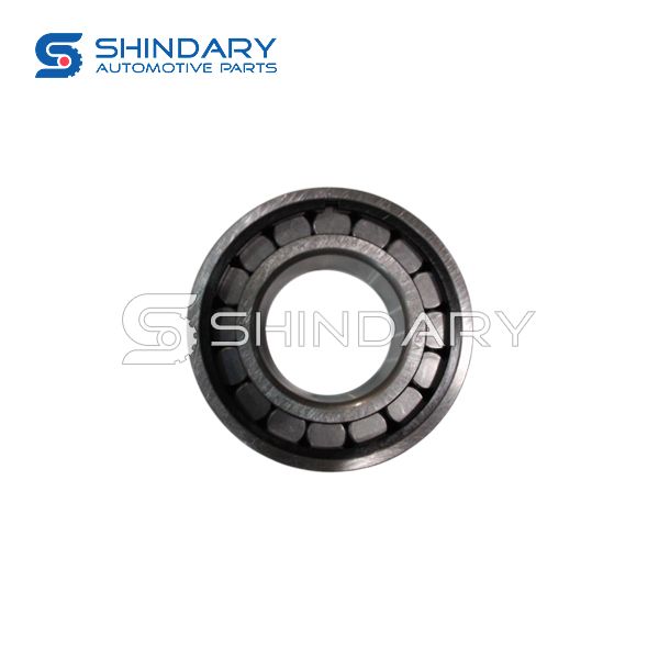 Roller bearing 9509239 for DFM