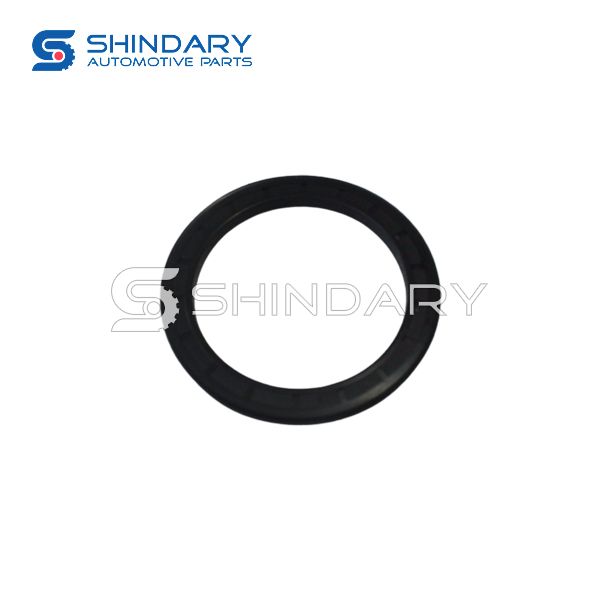 Oil seal inside rear hub F206.0204 for CNJ 4108FPB34BE5000