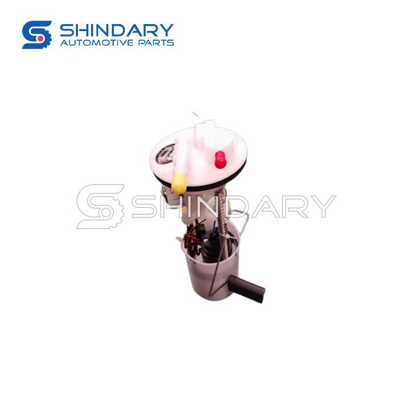 Fuel pump assy 1106110-BL-01 for SHINERAY X30L