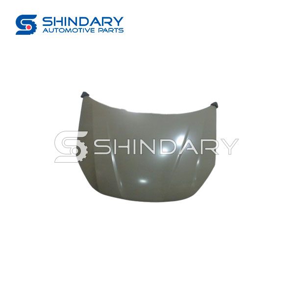 HOOD T11-8402010FL-DY for CHERY