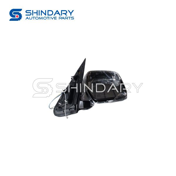 Right power rearview mirror 87910-A9001 for JOYLONG A4-DK4