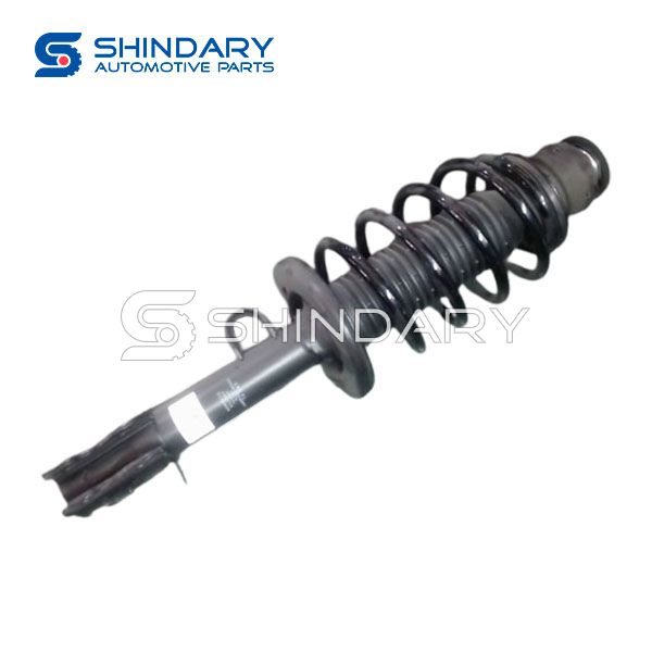 Shock Absorber Front Lh 2905130-E01 for SWM G01