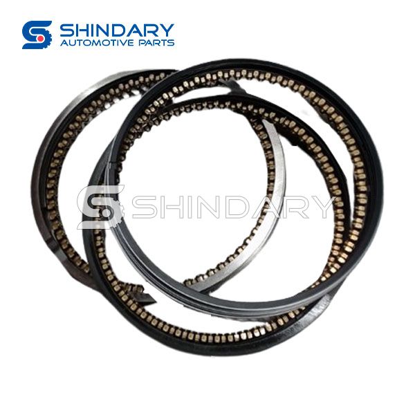 Piston Ring Assembly 100403010401 for GONOW