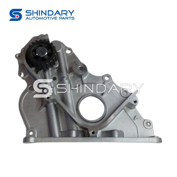 Oil Pump 101100BED01A for GREAT WALL WINGLE 5
