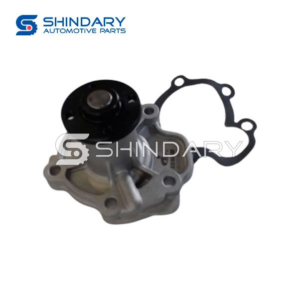 Water Pump 1307100-D00-00A for DFSK C37