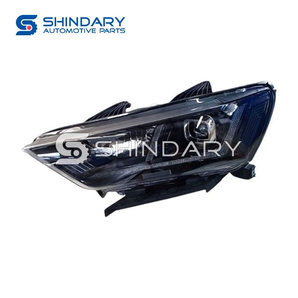 Front Lamp Assembly L 4121100-E02 for SWM G01