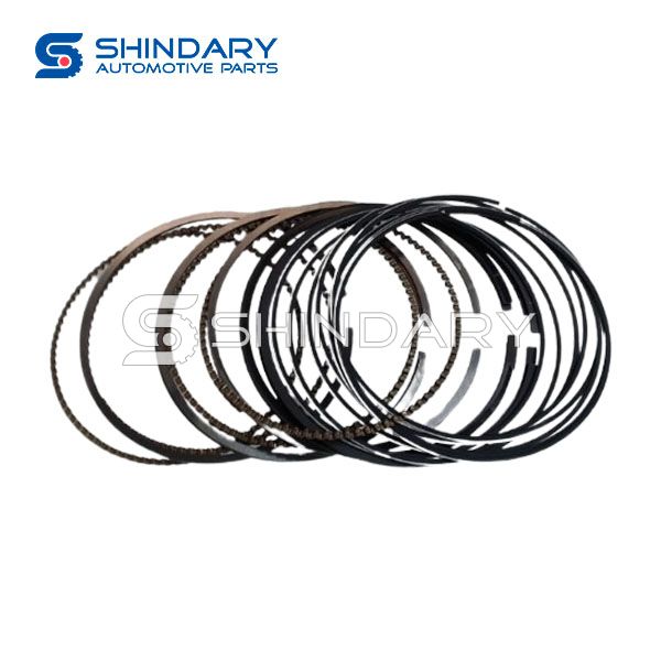 Piston Ring Assembly 513-1004920-01ZH for FOTON BJ1030