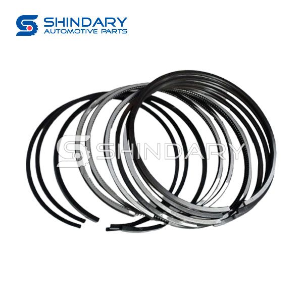 Piston Ring Assembly DK4-1004011 for JINBEI H2 2,5/ZNA RICH