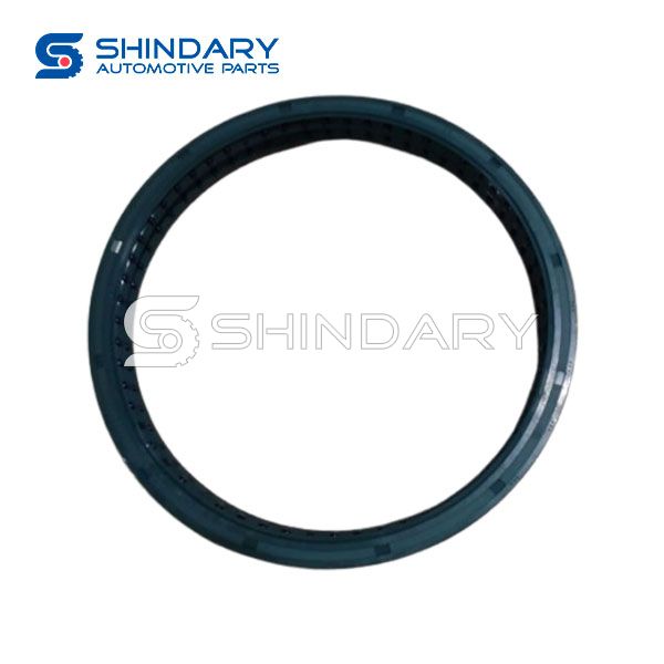 Wheels Retainer DZ90129340063 for SHACMAN