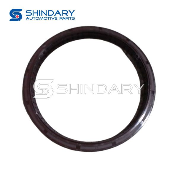 Wheels Retainer DZ90129340064 for SHACMAN