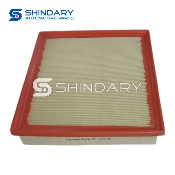 Air filter element 165462GN0A-C316 for DONGFENG