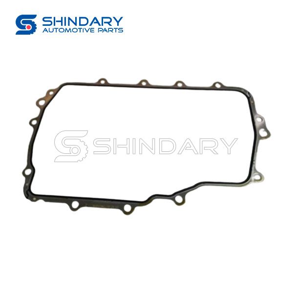 Sealing gasket C00295065 for MAXUS