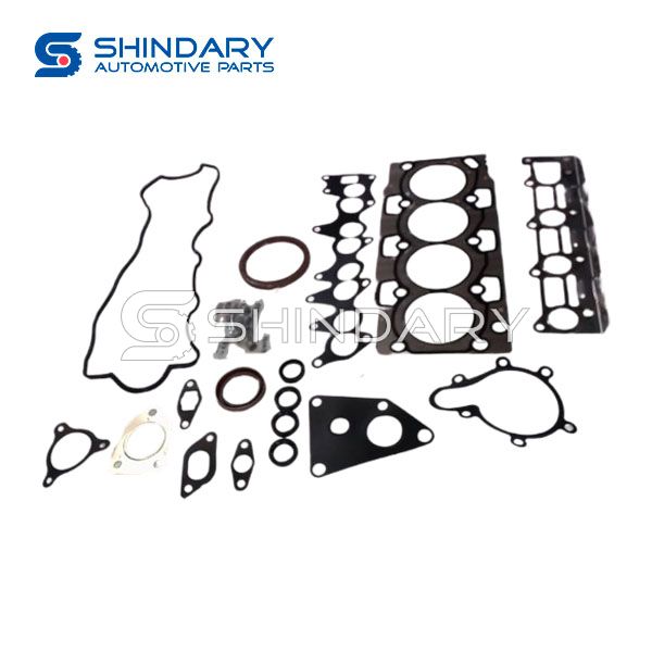 Overhaul package 1000FB040P for JAC SUNRAY